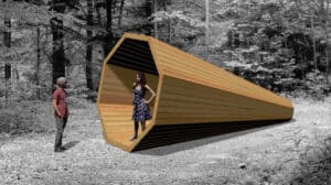 Das Ohr im Holzweg Thal