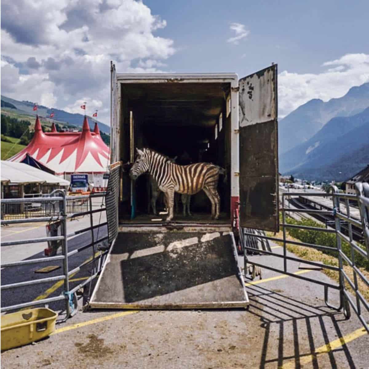 Mokka-Rubin / Anzeiger Thal Gäu Olten
