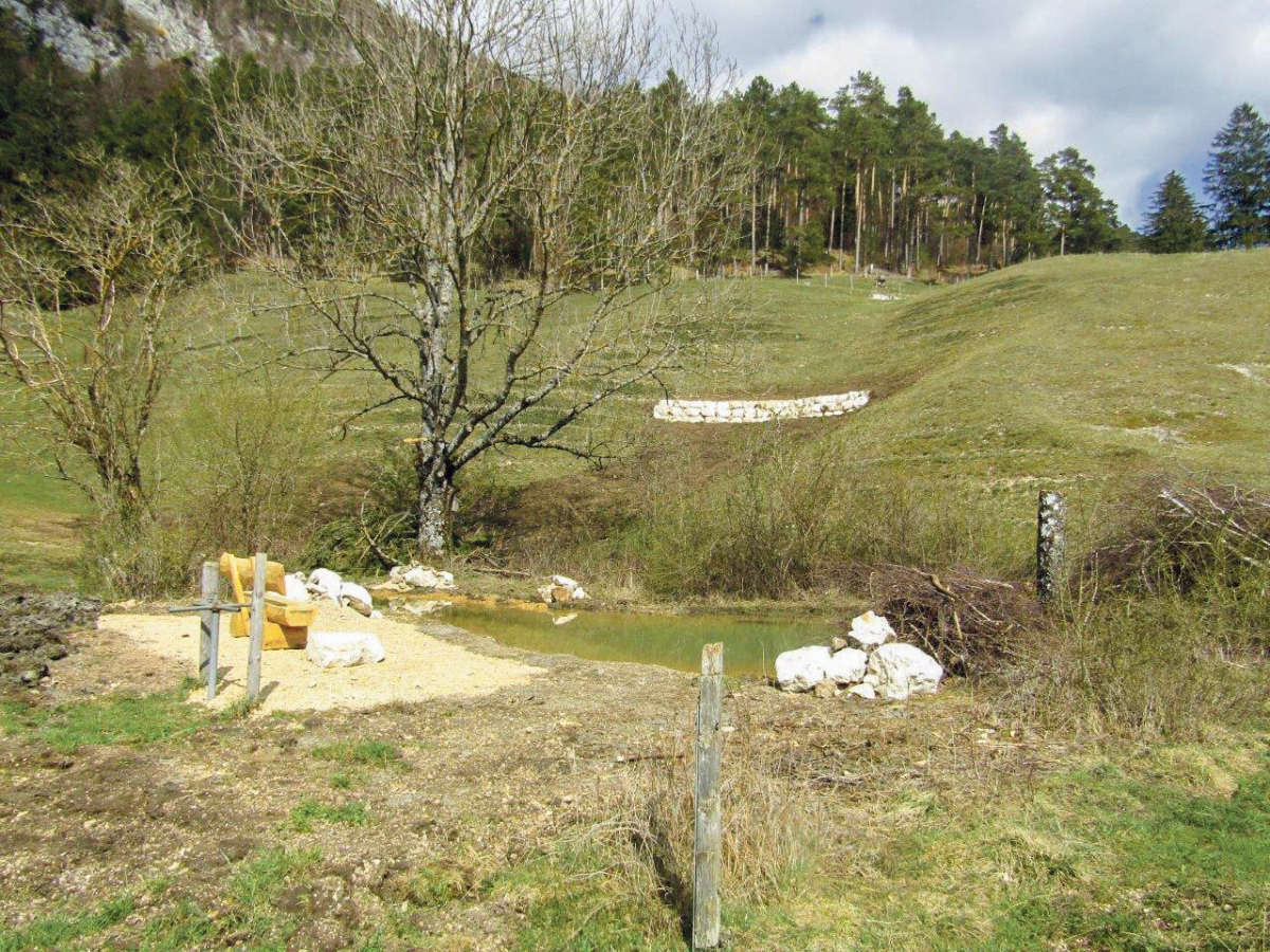 Renovation Baernacherweiher / Anzeiger Thal Gäu Olten