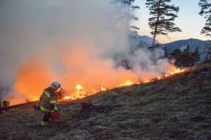 Waldbrand in Gänsbrunnen / Anzeiger Thal Gäu Olten