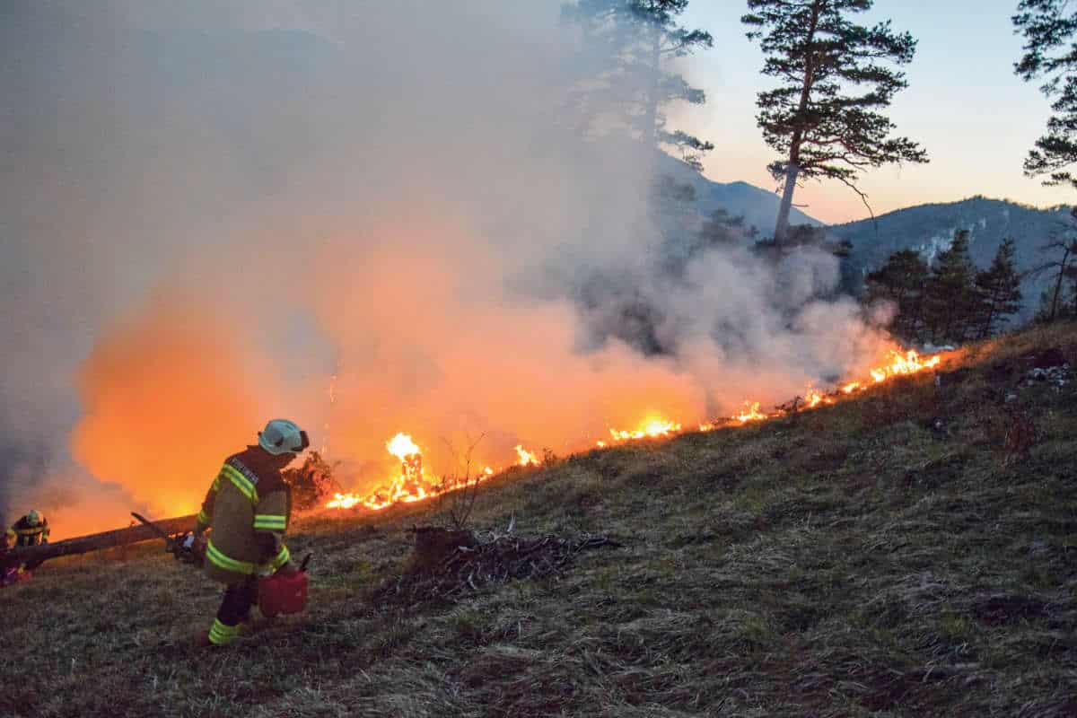 Waldbrand in Gänsbrunnen / Anzeiger Thal Gäu Olten