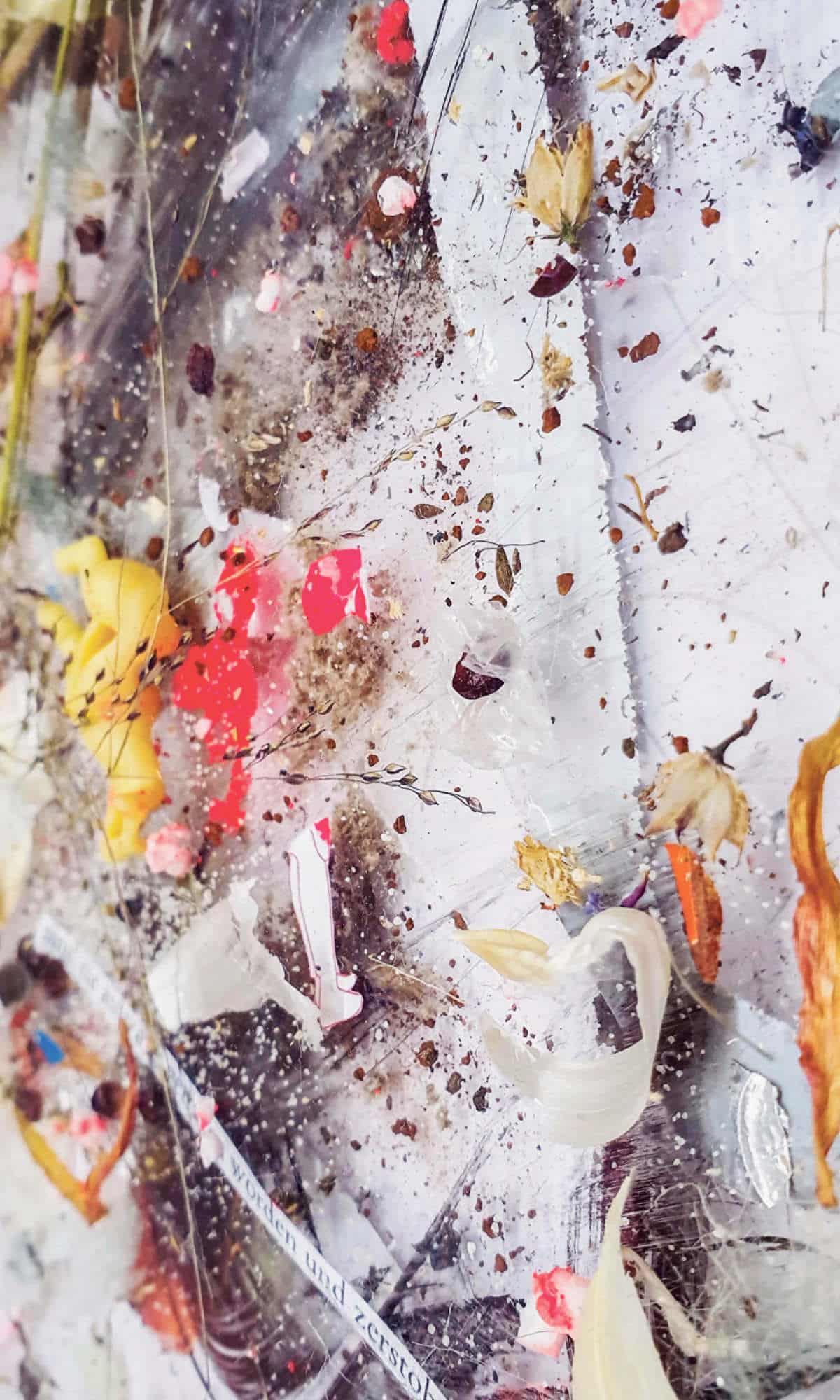 Ausstellung im Teeund Kunstladenladen «links & rechts» in Olten / Anzeiger Thal Gäu Olten