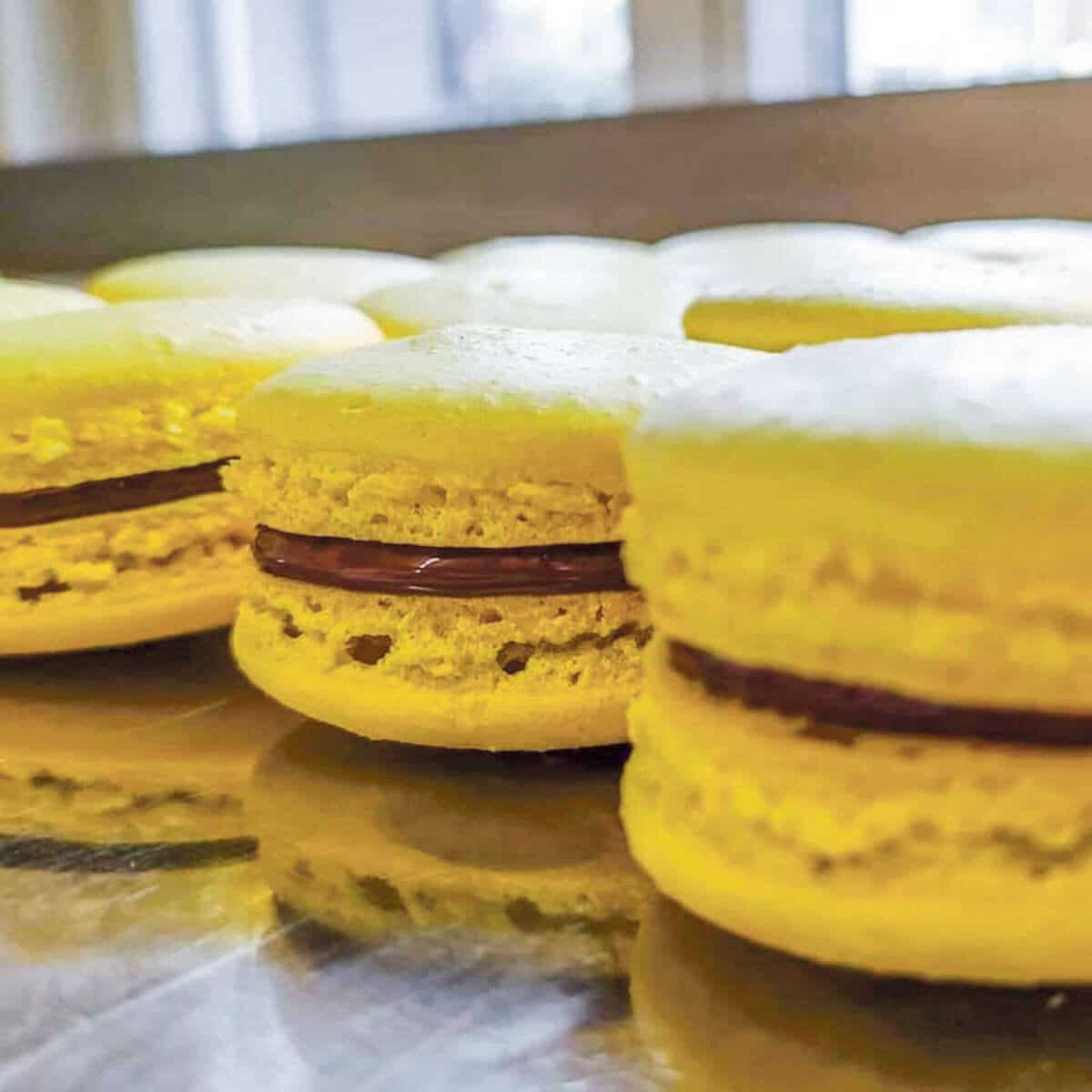 Thaler Beck / Anzeiger Thal Gäu Olten