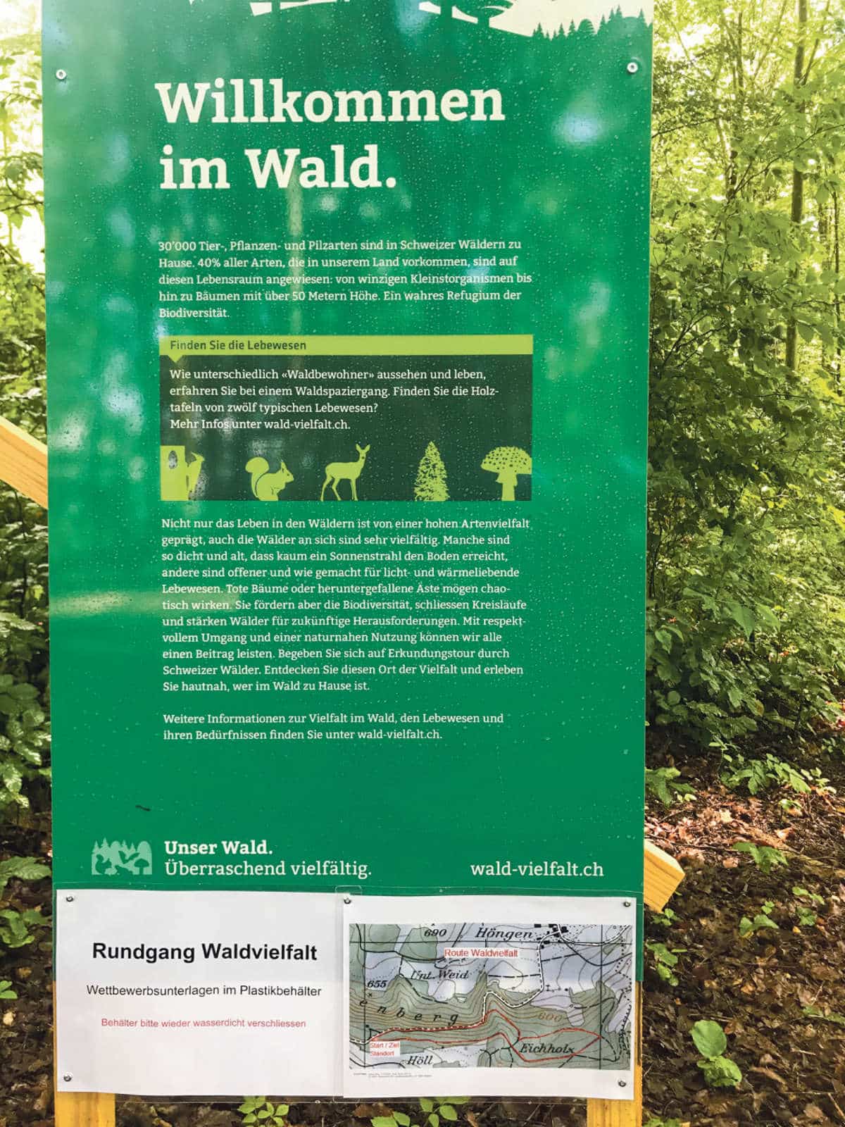 Rundgang zur Waldvielfalt / Anzeiger Thal Gaeu Olten