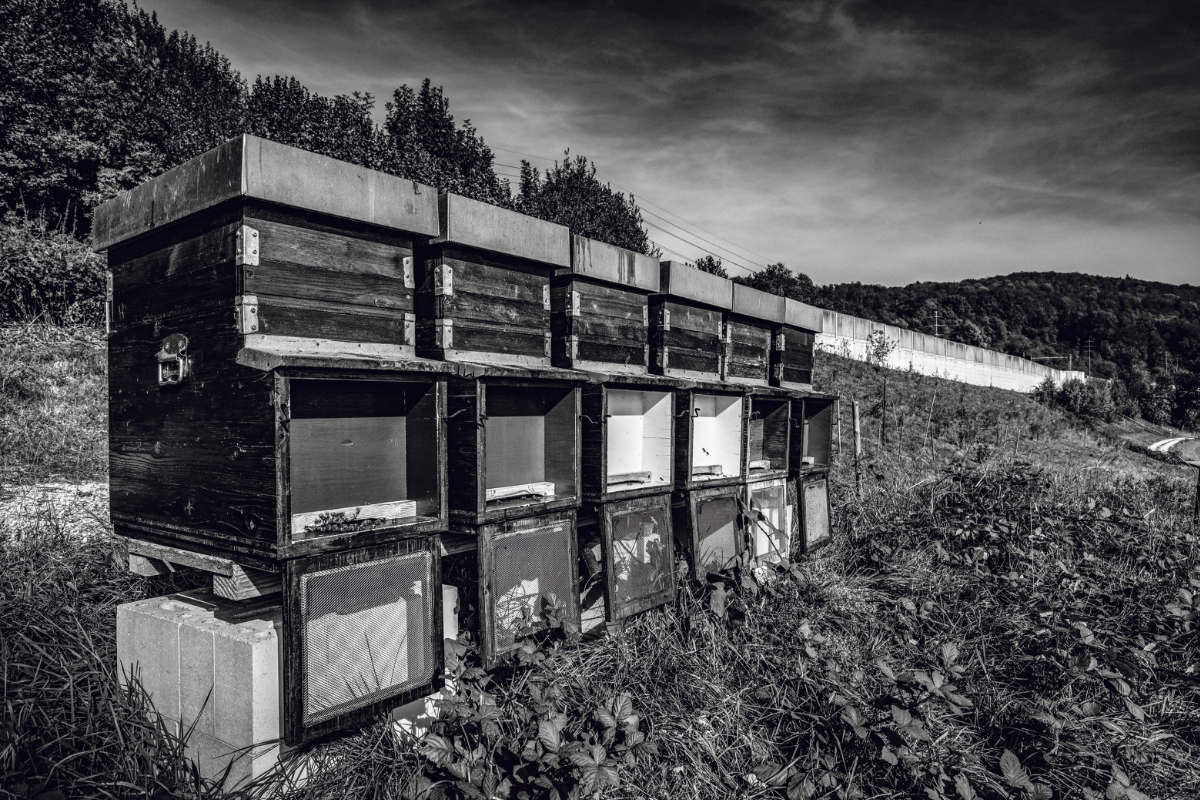 Fotograf Patrick Luethy / Anzeiger Thal Gaeu Olten