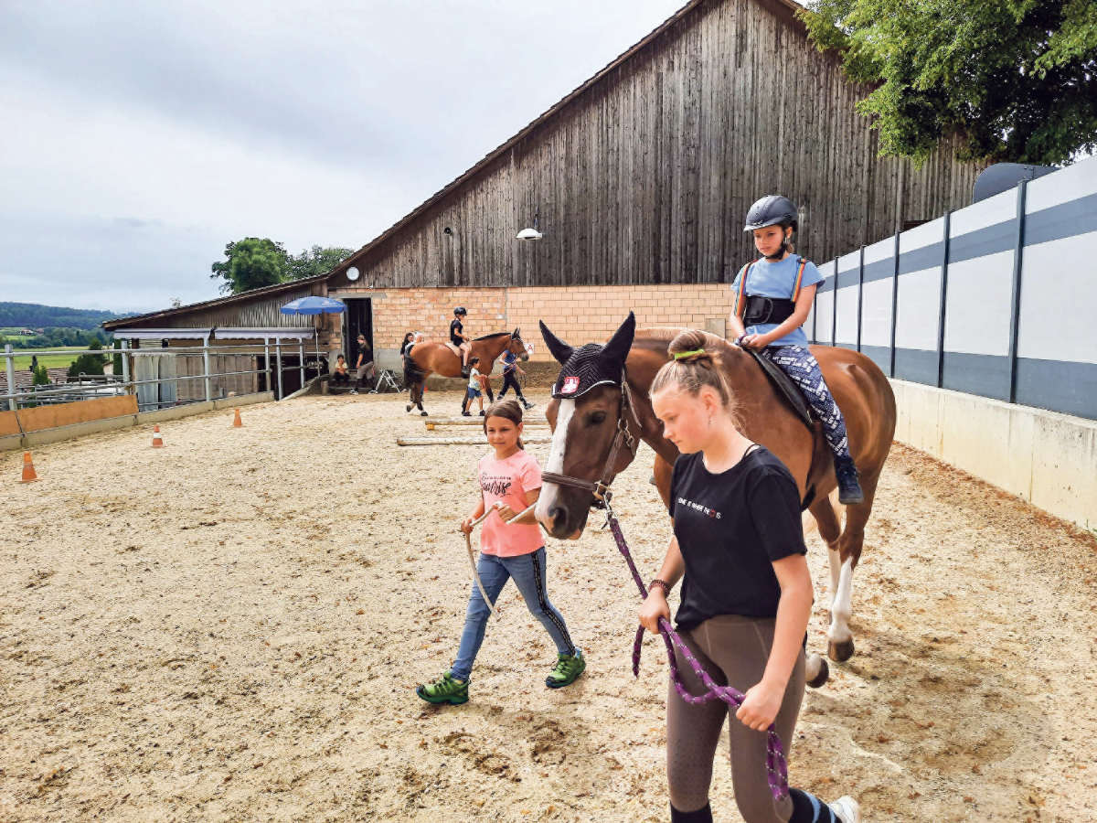 Ferienpass Neuendorf / Anzeiger Thal Gaeu Olten