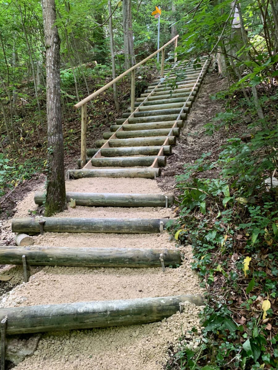 Aktives Alter Egerkingen / Anzeiger Thal Gaeu Olten