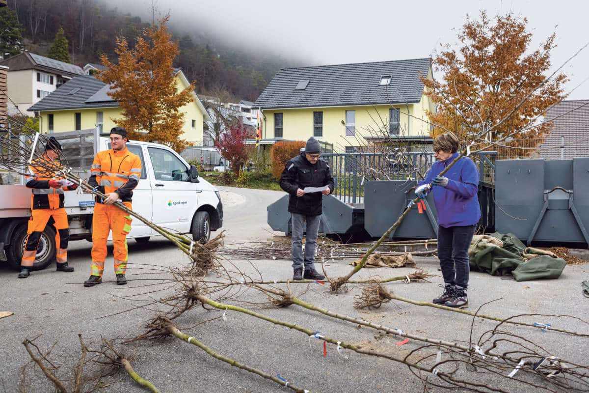 Baumpflanz-Aktion Egerkingen / Anzeiger Thal Gäu Olten