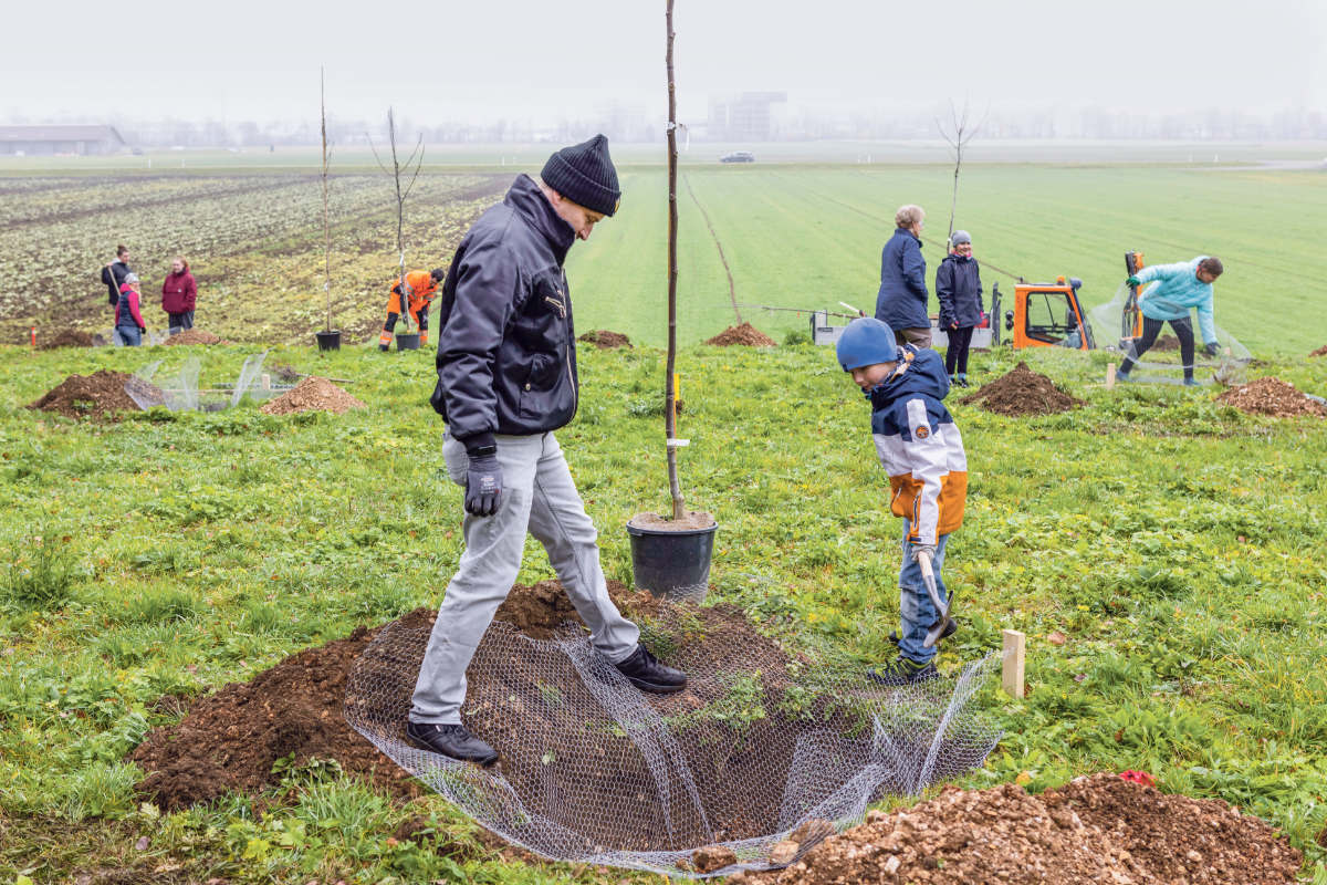 Baumpflanz-Aktion Egerkingen / Anzeiger Thal Gäu Olten