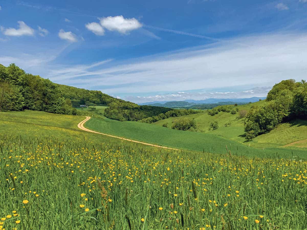 Wiesen Kanton Solothurn / Anzeiger Thal Gäu Olten