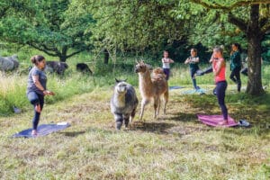 Yogakurse Haegendorf / Anzeiger Thal Gäu Olten
