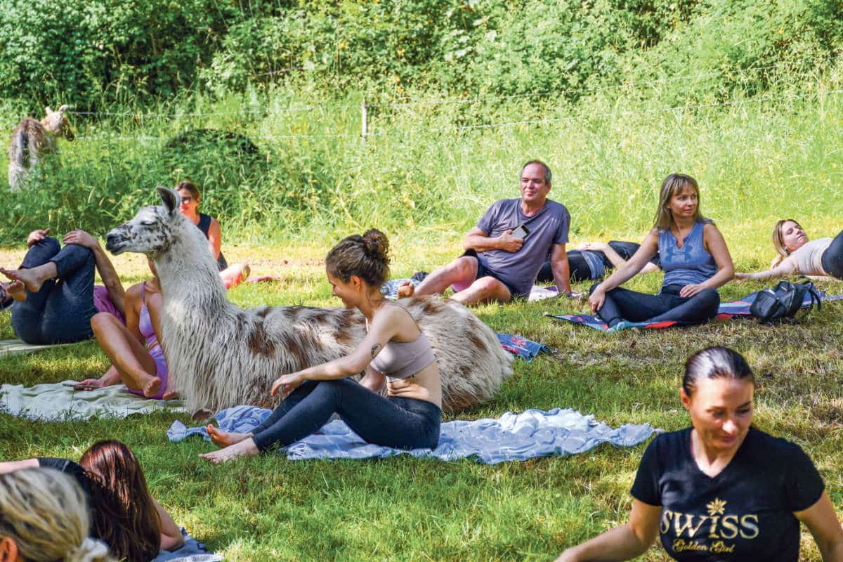 Yogakurse Haegendorf / Anzeiger Thal Gäu Olten