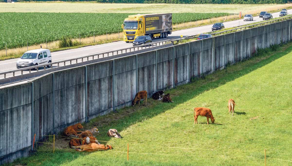 A1-Ausbau Gaeu / Anzeiger Thal Gäu Olten