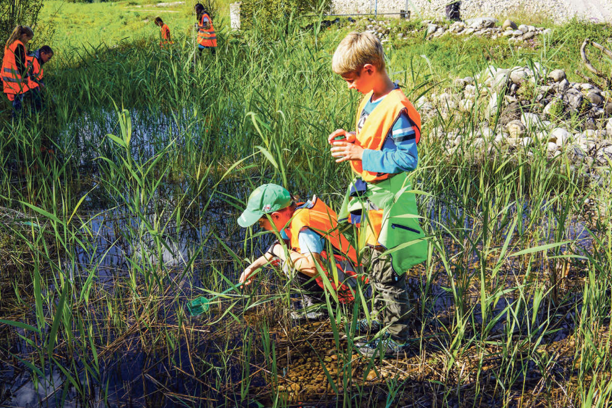 Kaeferklub / Anzeiger Thal Gäu Olten