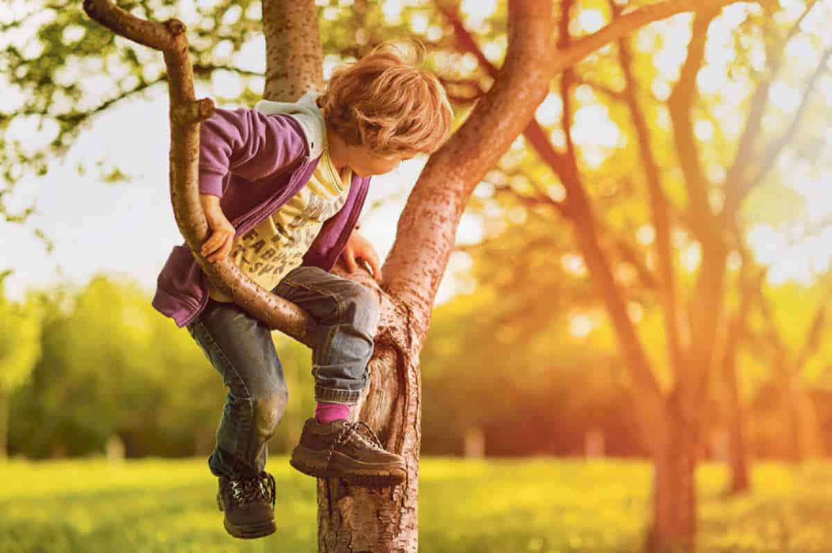 Kompass Solothurn / Anzeiger Thal Gäu Olten