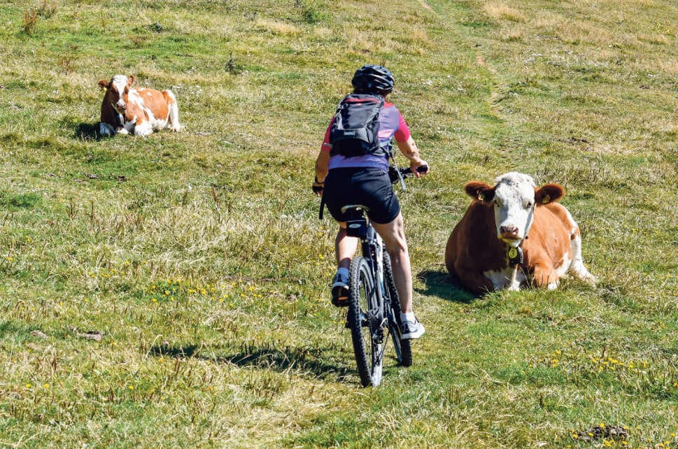 Sommerserie «Mit Muskelkraft und Open Air» / Anzeiger Thal Gäu Olten