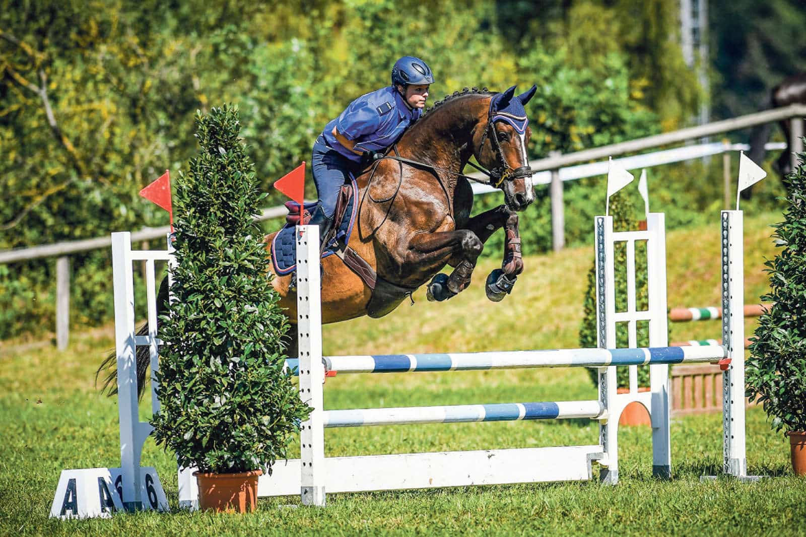 Schweizermeisterschaft im Polizeispring- und Dressurreiten Balsthal / Anzeiger Thal Gäu Olten