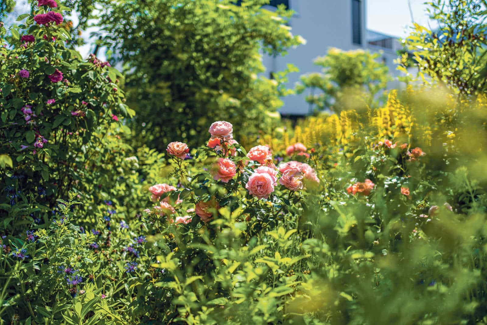 Tag der offenen Gaerten im Naturpark Thal / Anzeiger Thal Gäu Olten