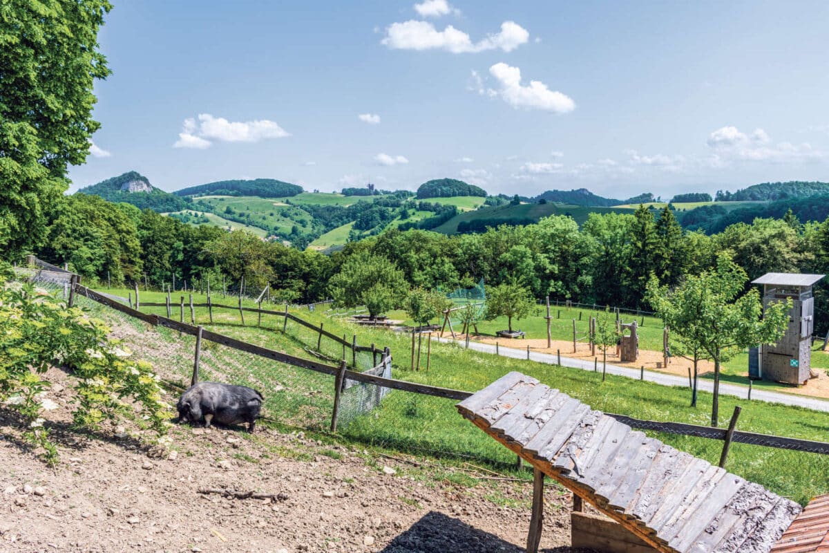 Hupp Lodge Wisen / Anzeiger Thal Gäu Olten
