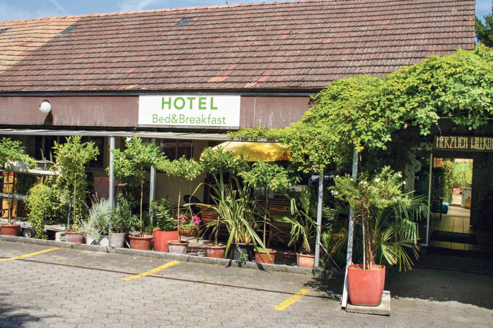 Alte Gaertnerei Härkingen / Anzeiger Thal Gäu Olten