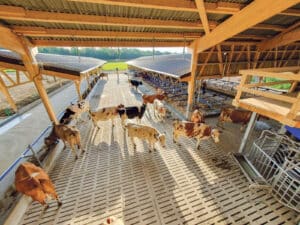 Buchmatthof Wolfwil / Anzeiger Thal Gäu Olten
