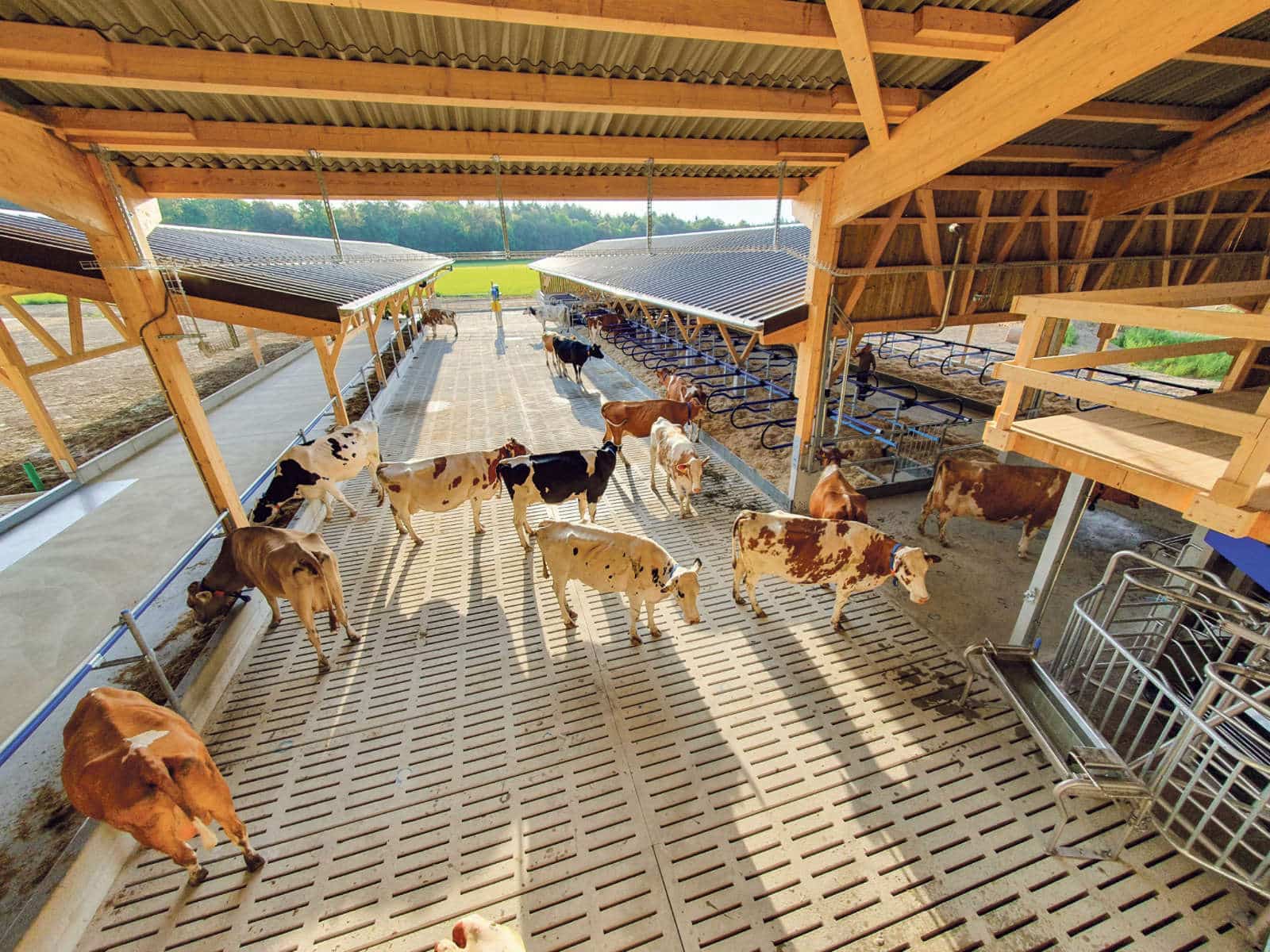 Buchmatthof Wolfwil / Anzeiger Thal Gäu Olten