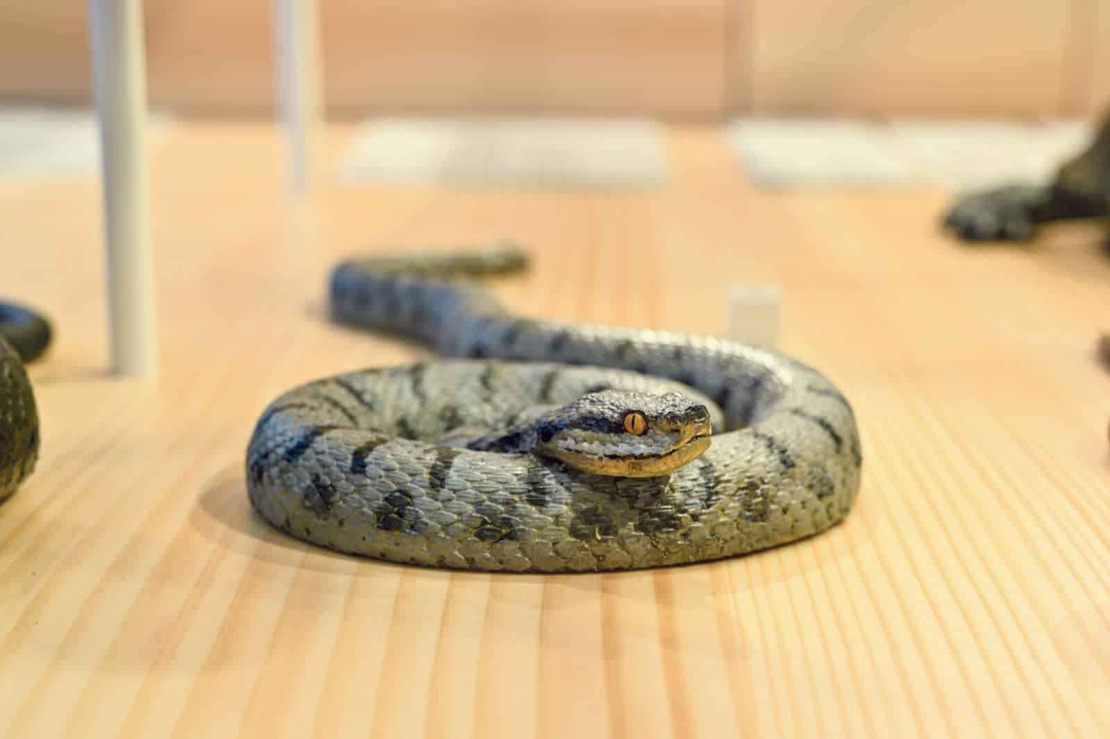 Naturmuseum Olten / Anzeiger Thal Gäu Olten