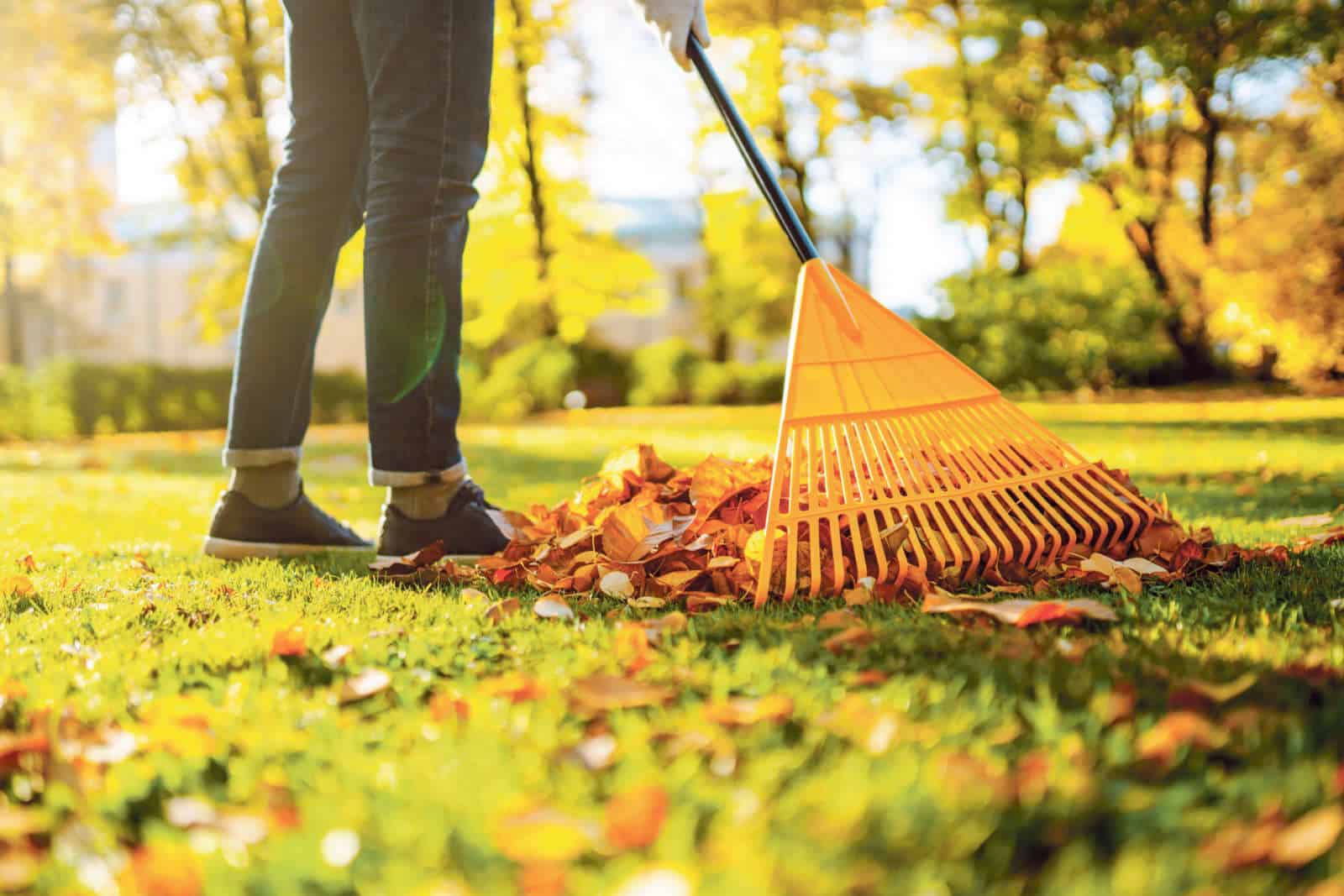 Plattform «Smalljobs» / Anzeiger Thal Gäu Olten