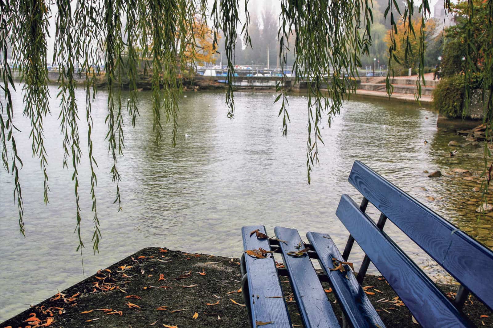 Suizidpraevention / Anzeiger Thal Gäu Olten