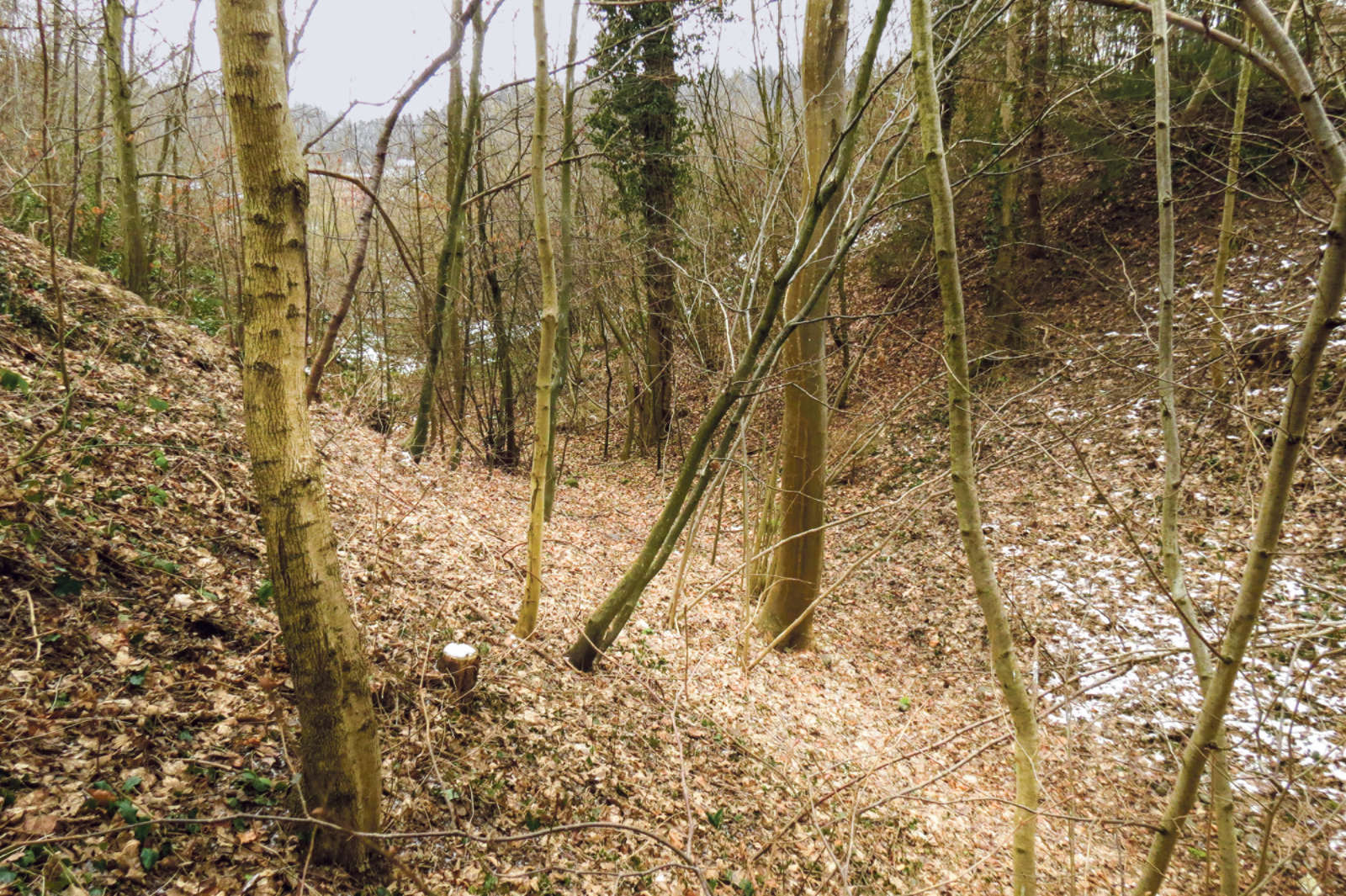 Archäologische Museum Kanton Solothurn / Anzeiger Thal Gäu Olten