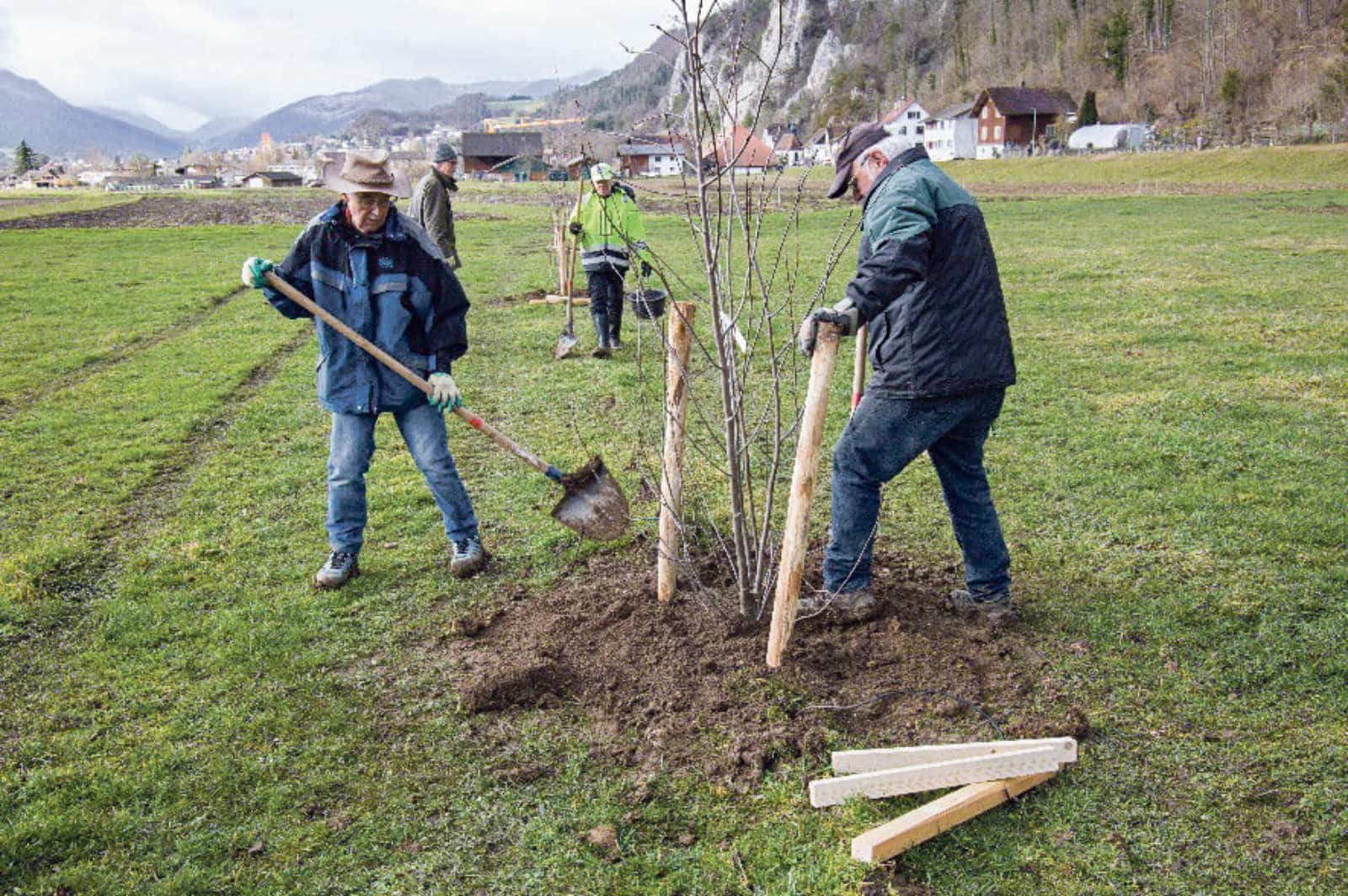 Agroforstprojekt / Anzeiger Thal Gäu Olten