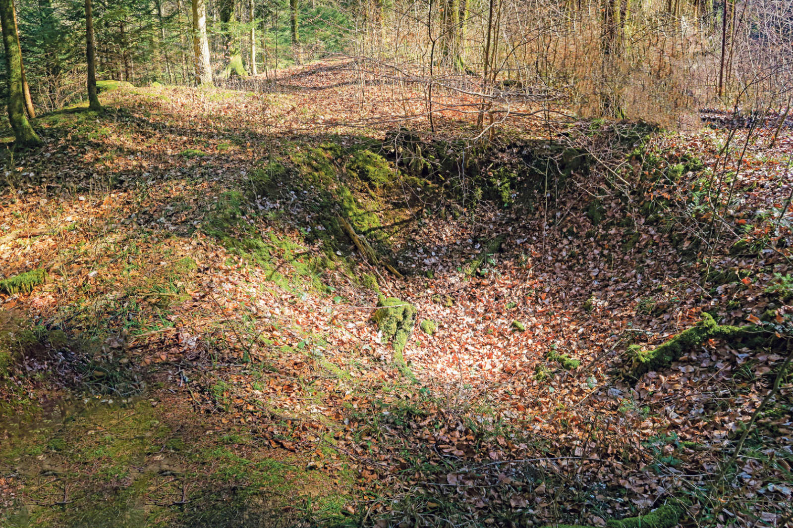 Erz der Balsthaler Erzmatt / Anzeiger Thal Gäu Olten