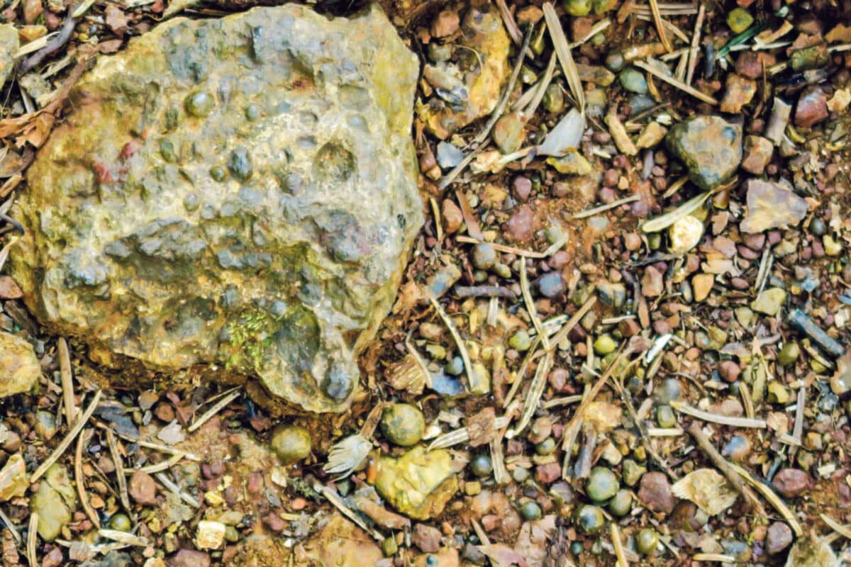 Erz der Balsthaler Erzmatt / Anzeiger Thal Gäu Olten