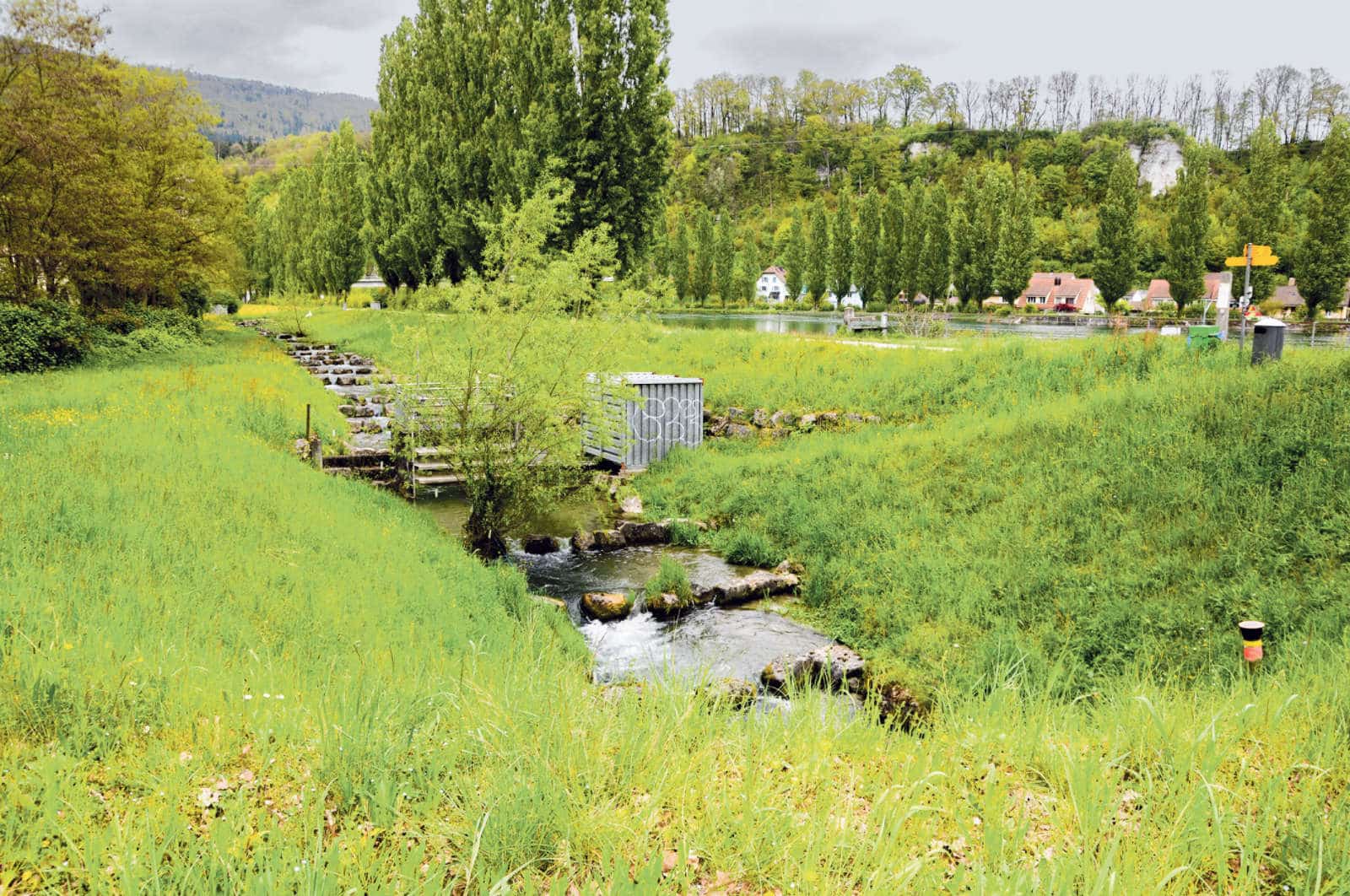 Fischtreppe in Winznau / Anzeiger Thal Gäu Olten