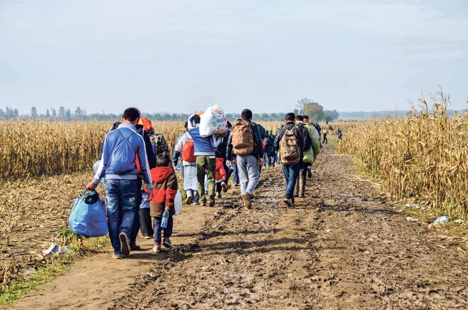 Asylwesen Kanton Solothurn / Anzeiger Thal Gäu Olten