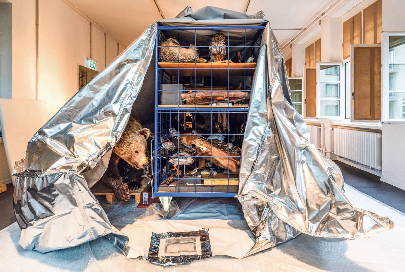 Naturmesuem Olten/ Anzeiger Thal Gäu Olten