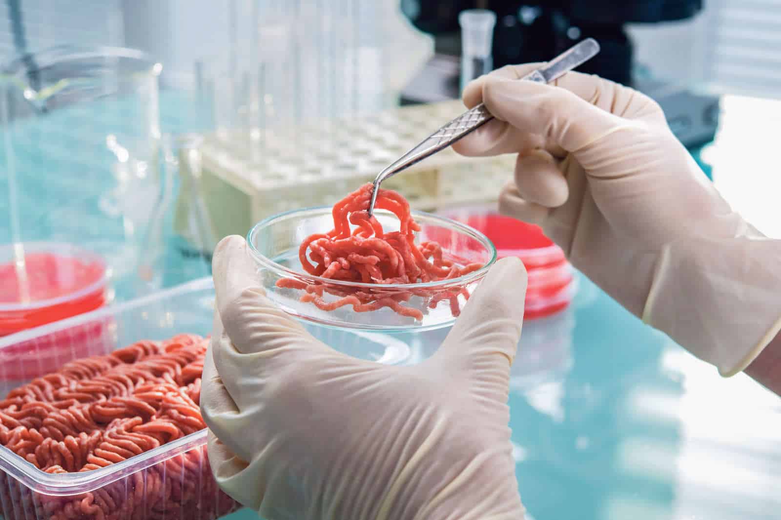 Kantonale Lebensmittelkontrolle / Anzeiger Thal Gäu Olten