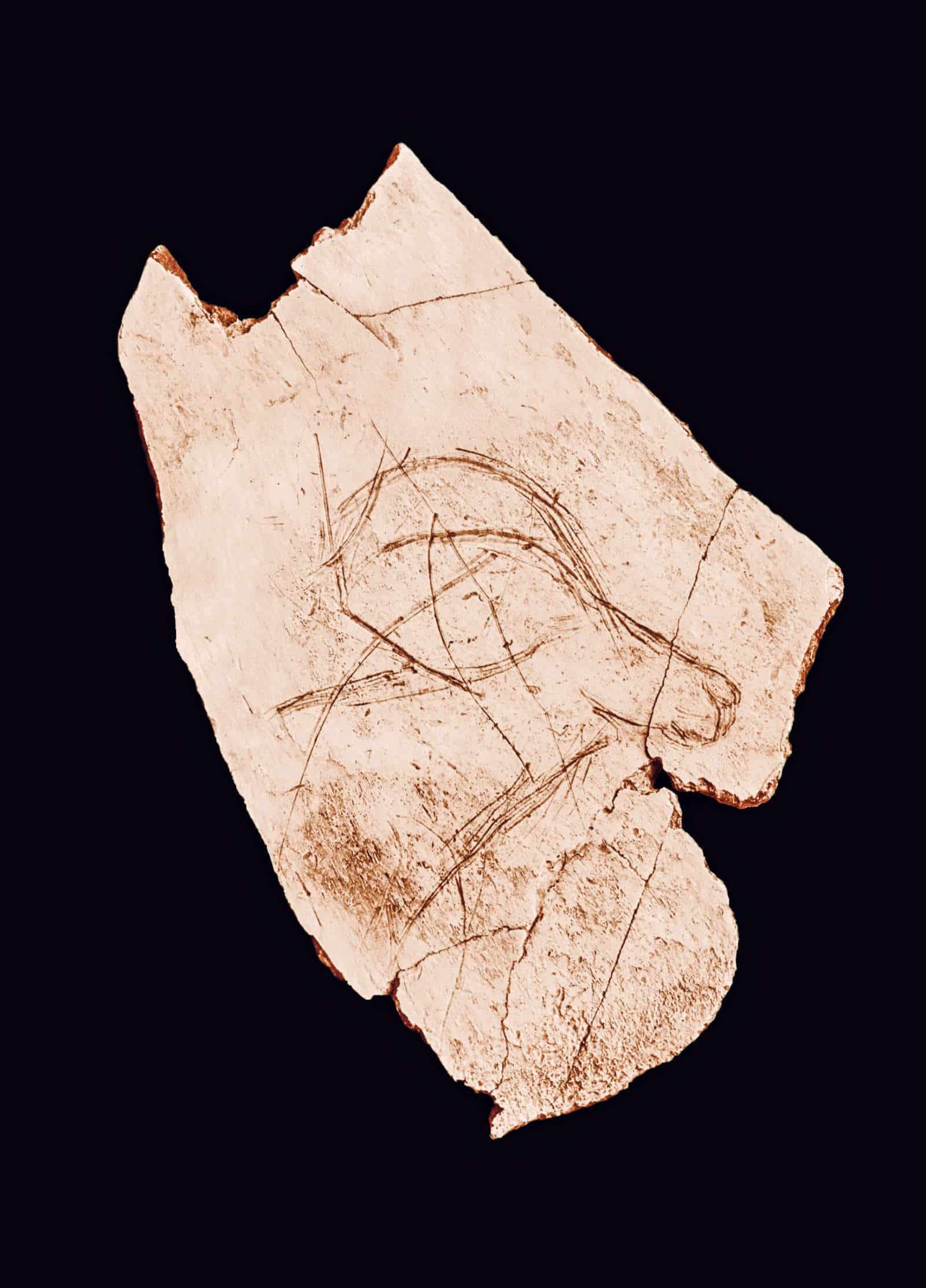 Eiszeitkunst am Jurasüdfuss / Anzeiger Thal Gäu Olten