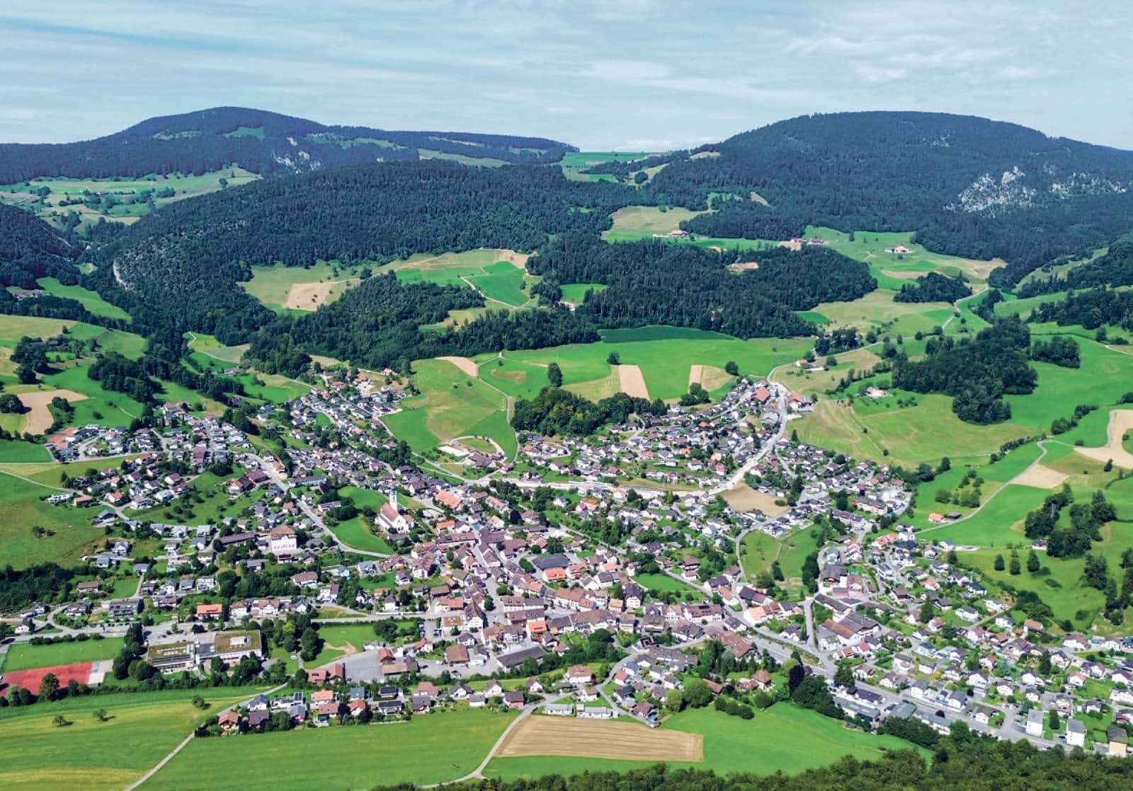 Historische Verein Guldental / Anzeiger Thal Gäu Olten