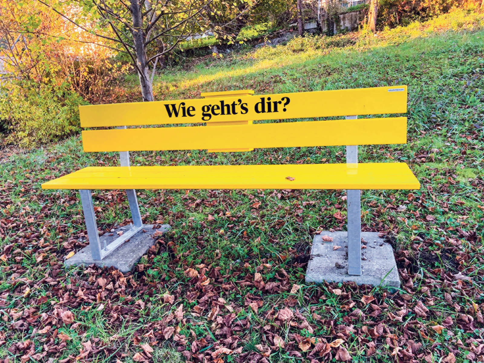 Gelbe Bank / Anzeiger Thal Gäu Olten