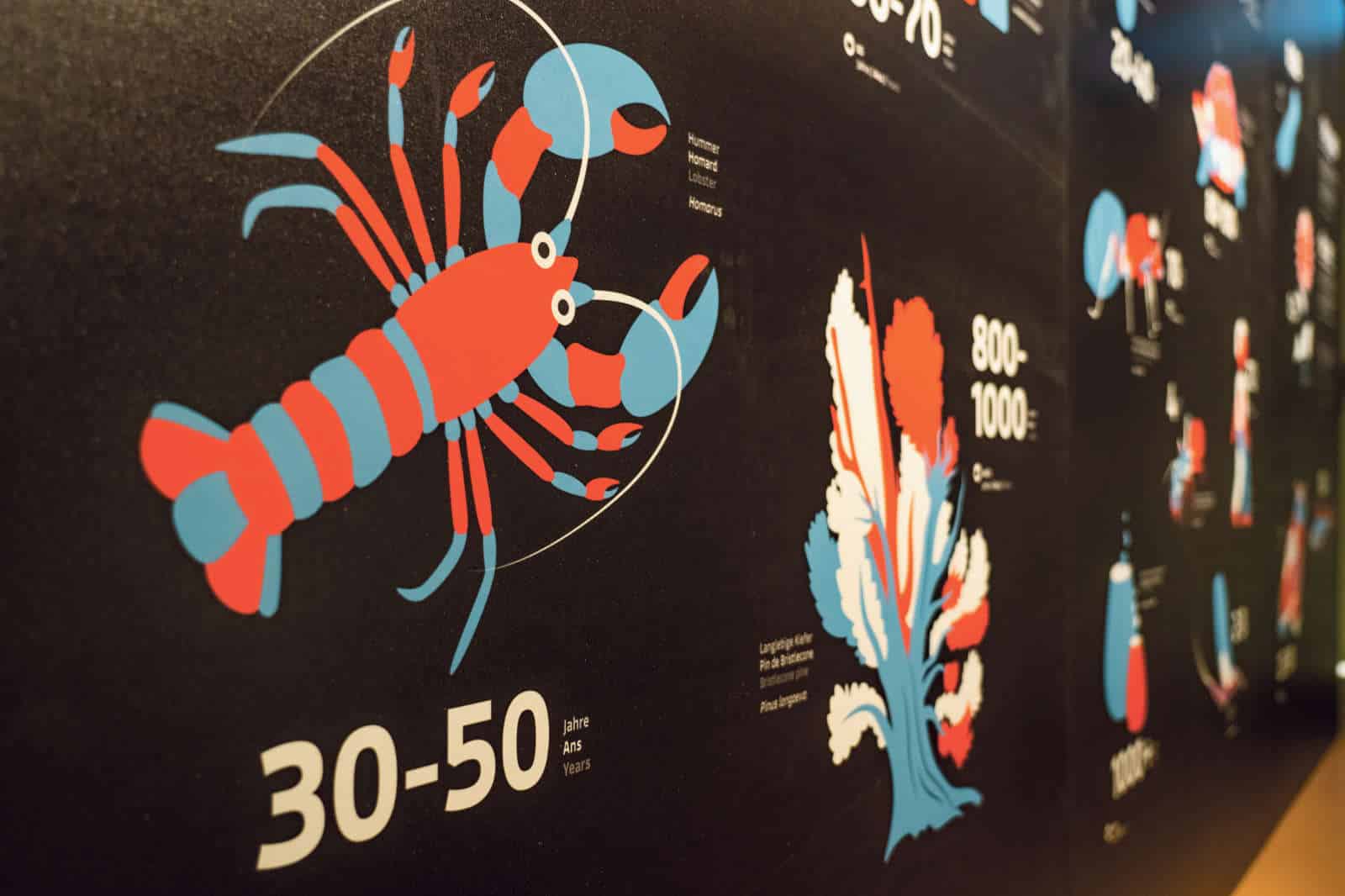 tick tack – der Countdown des Lebens / Anzeiger Thal Gäu Olten