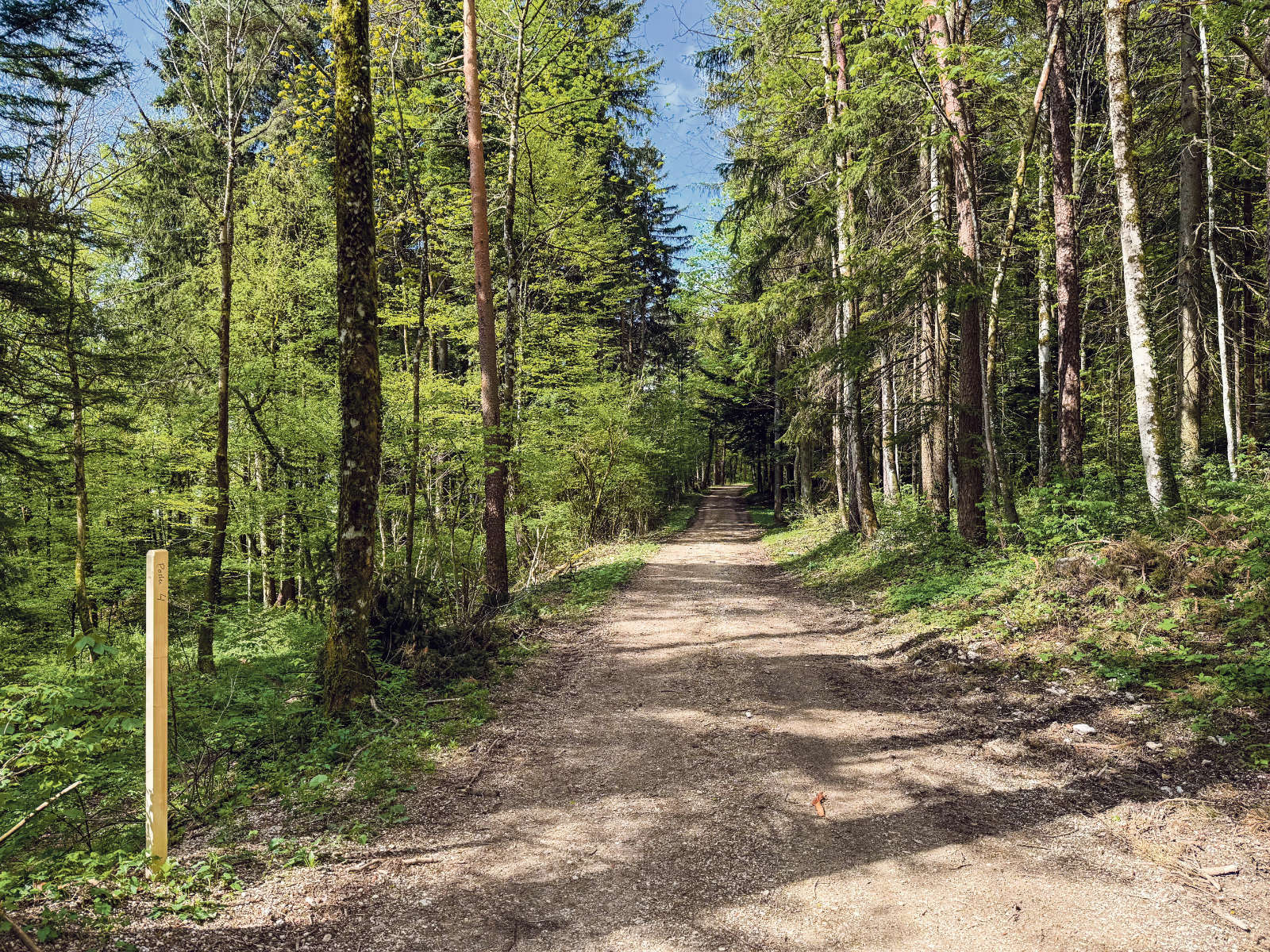Poesieweg Egerkingen / Anzeiger Thal Gäu Olten