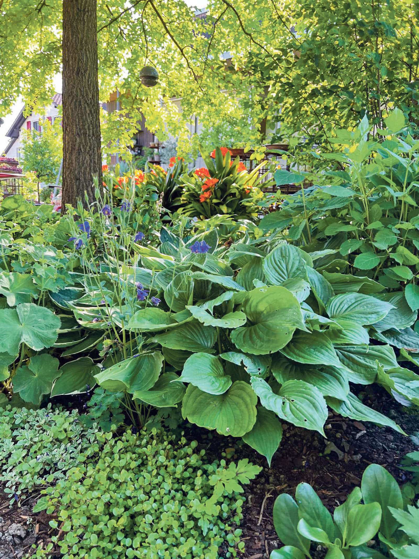 Offener Garten Fulenbach / Anzeiger Thal Gäu Olten