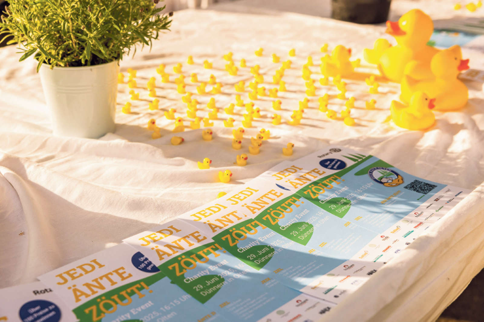 Duck Race Olten / Anzeiger Thal Gäu Olten