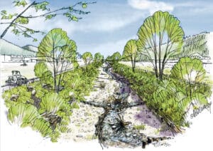 Projekt «Lebensraum Dünnern Oensingen bis Olten» / Anzeiger Thal Gäu Olten