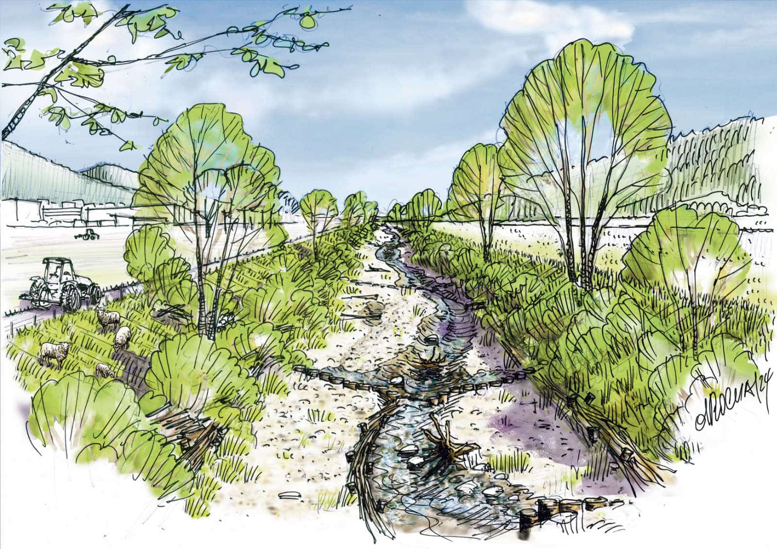 Projekt «Lebensraum Dünnern Oensingen bis Olten» / Anzeiger Thal Gäu Olten