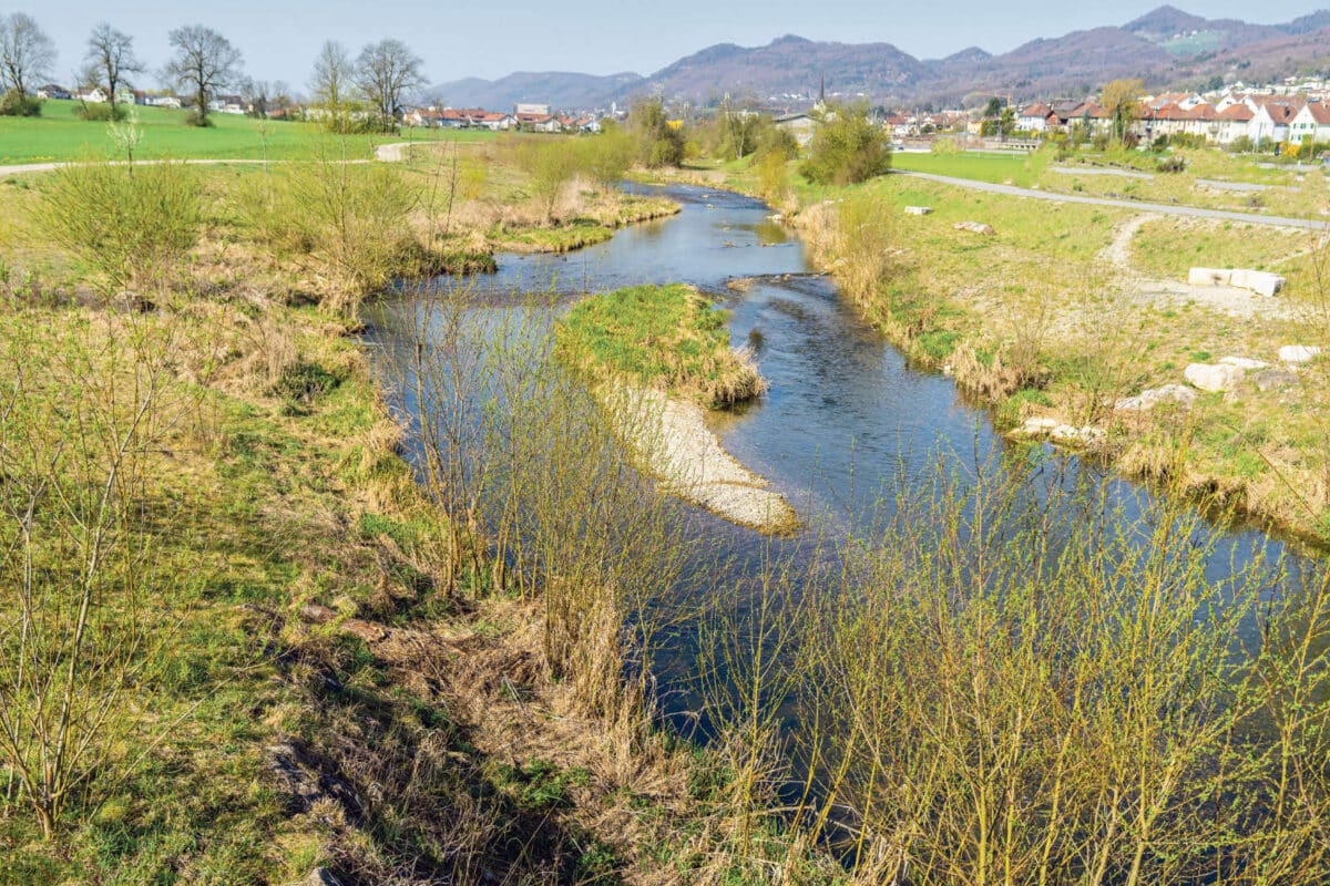 Projekt «Lebensraum Dünnern Oensingen bis Olten» / Anzeiger Thal Gäu Olten