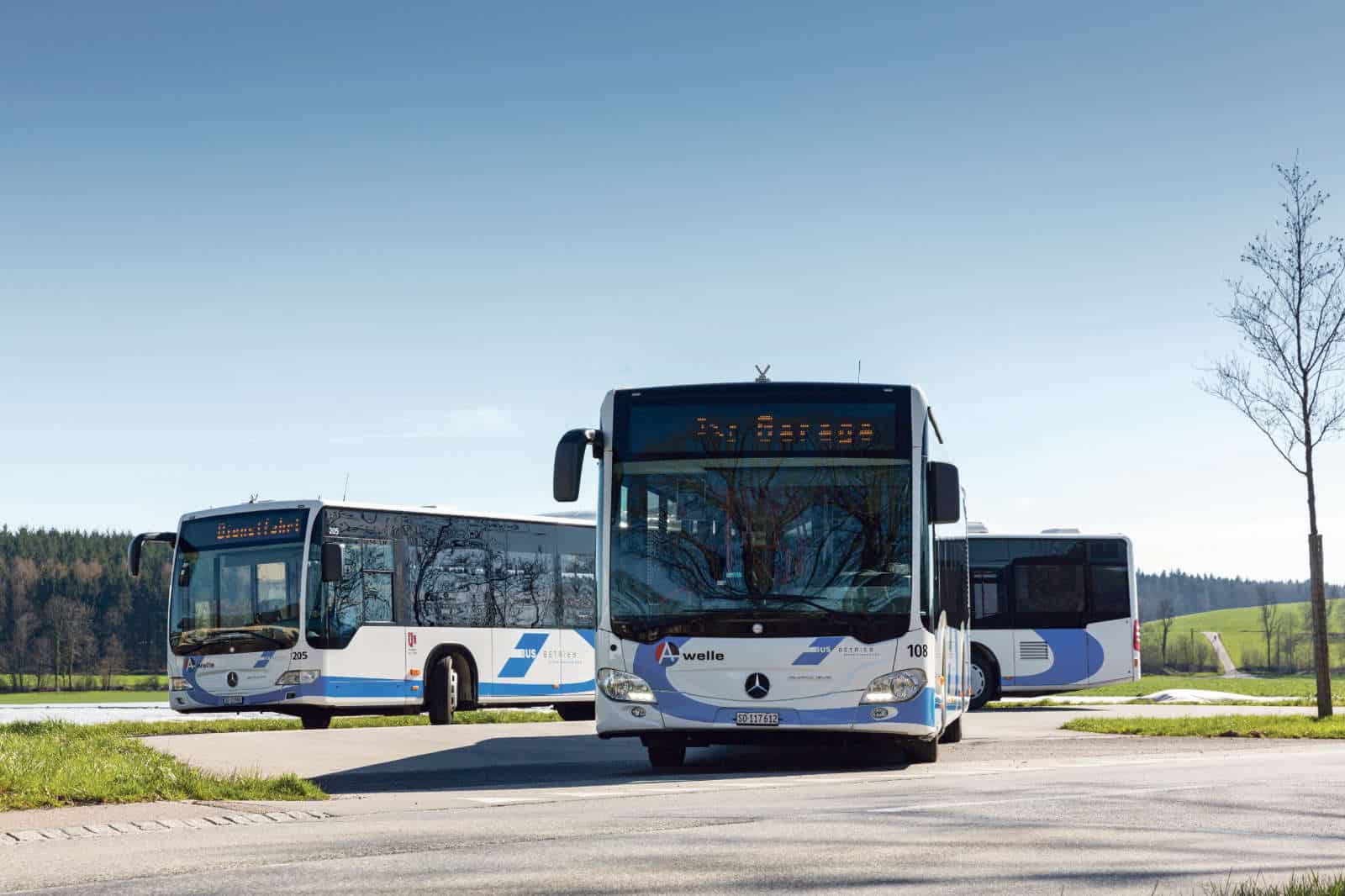 Boog / Anzeiger Thal Gäu Olten