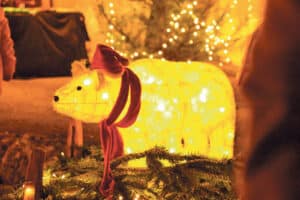 Winznauer Weihnachtsmarkt / Anzeiger Thal Gäu Olten