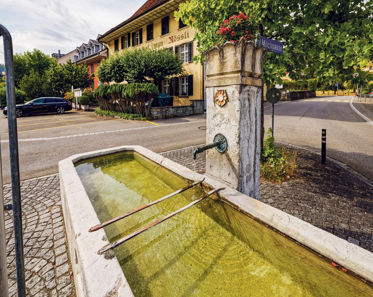 Der Brunnen beim Gasthof zum Rössli. Er stammt aus dem Jahr 1870.